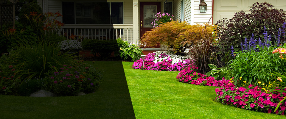 Sevierville Landscapers