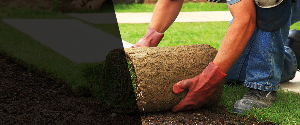 Sevierville Landscapers
